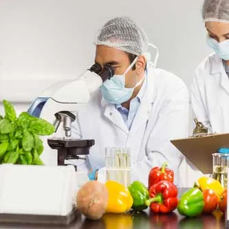 دورة سلامة الغذاء طبقا لمواصفة الايزو 22000:2018